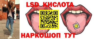 ECSTASY Новодвинск