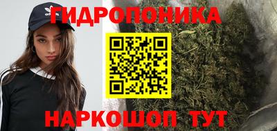 ECSTASY Новодвинск