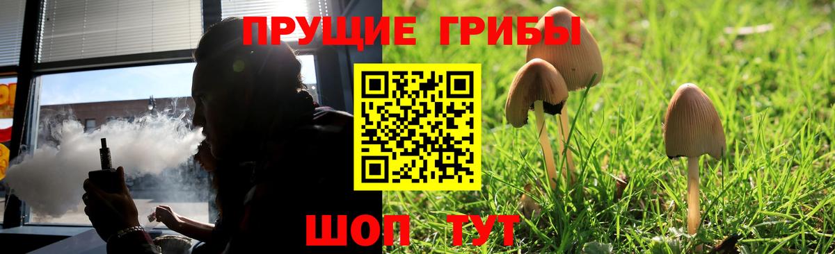 Ялта  Псилоцибиновые грибы прущие грибы  продажа наркотиков  Вход с VPN  Псилоцибиновые грибы ЛСД 